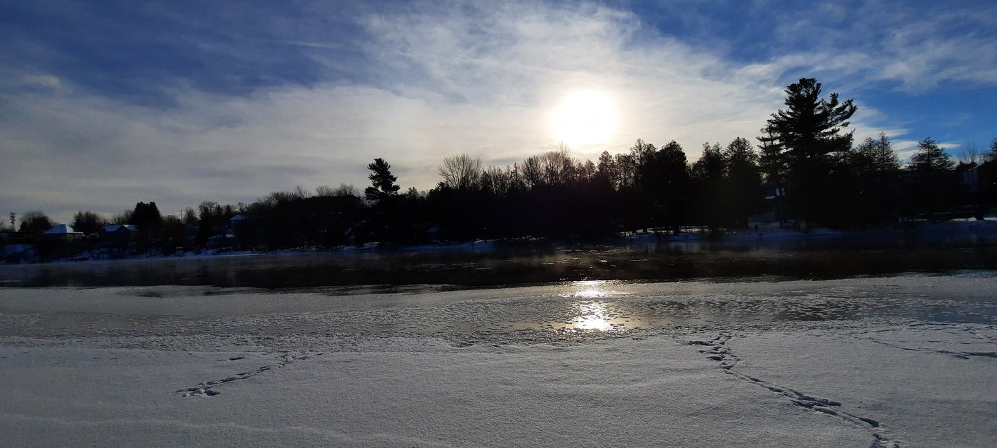 Pont Maurice-Gingues