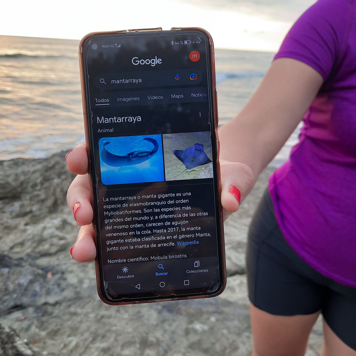 #Dominical #Rio123 #Fleuve #Soleil #Costarica