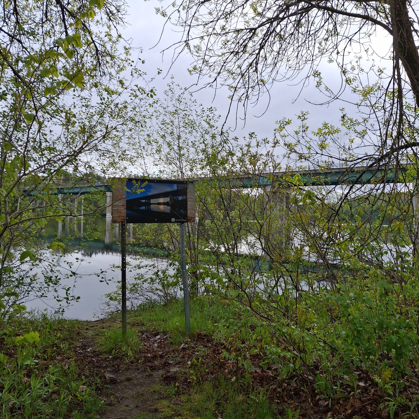 2025-05-24 Le pont Jacques-Cartier (Vue T1)