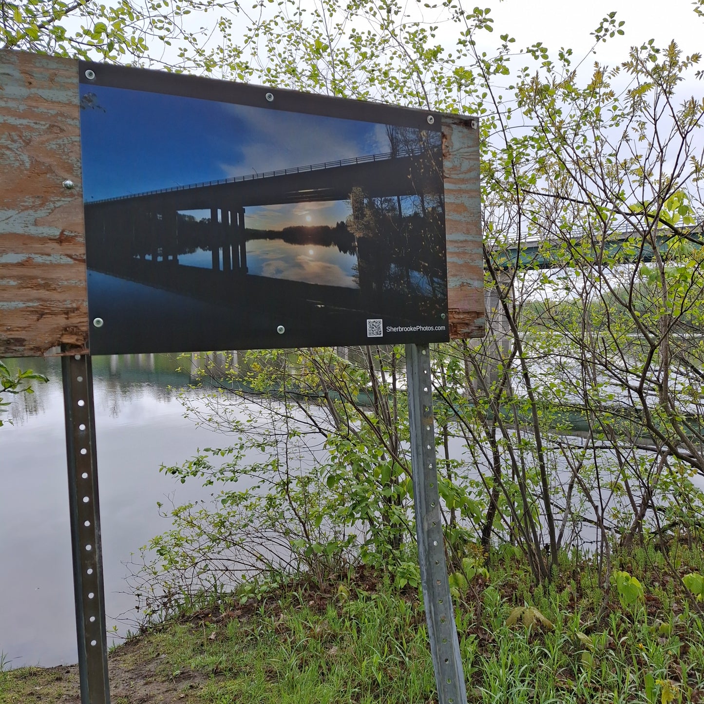 2025-05-24 Le pont Jacques-Cartier (Vue T1)