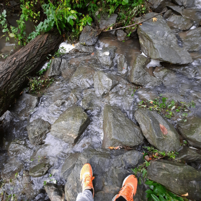 2022-09-22 La crue (Vue Grenouille) Trouve les souliers  (Animation)